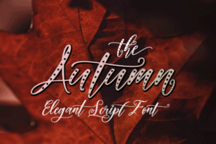 Autumn Font Review for Modern Campaigns