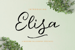 Elisa Font: A Fresh Typeface for Modern Brands