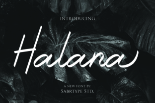 Halana Font Review: A Handwritten Typeface for Web Design