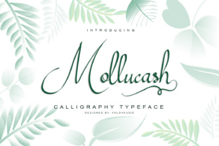 Mollucash: A Hand-Drawn Typeface for Modern Campaigns