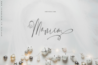 Monica Family: A Designer’s Honest Review